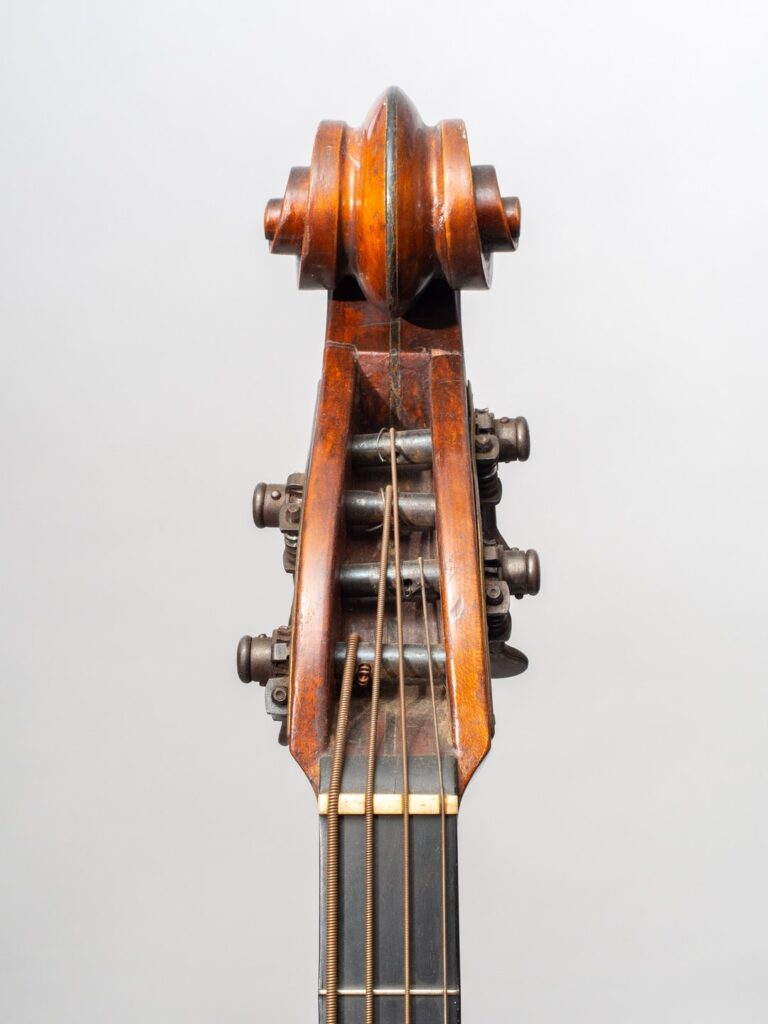 Lyon & Healy Mandobass Headstock facing.