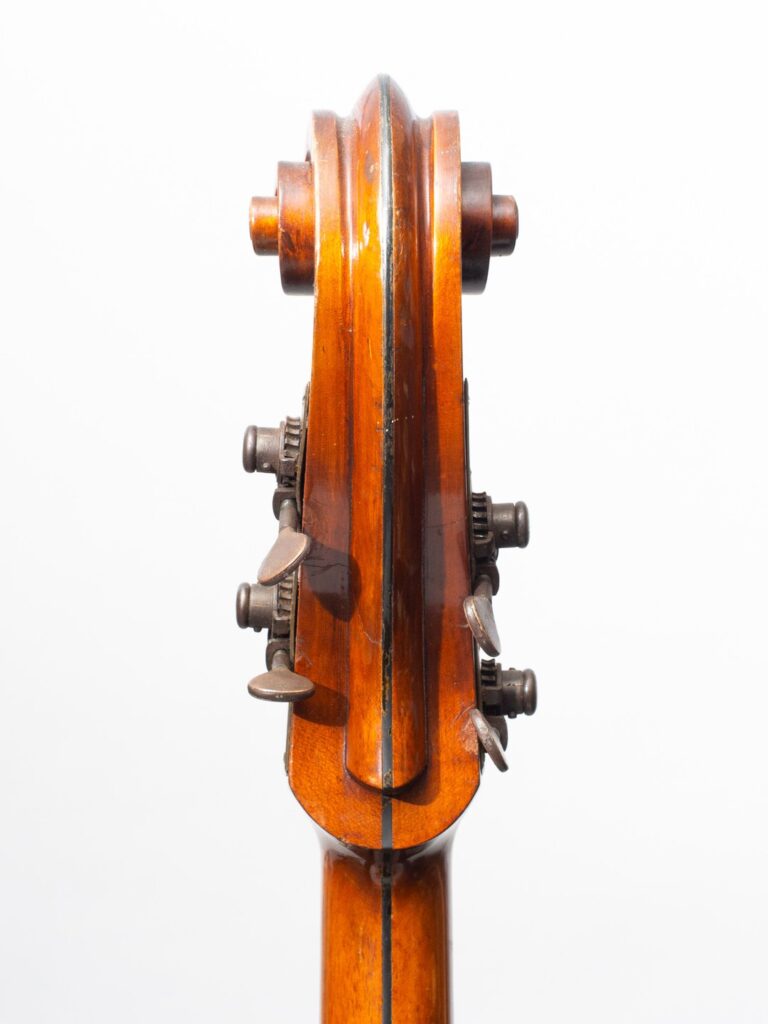 Lyon & Healy Mandobass Headstock reverse.