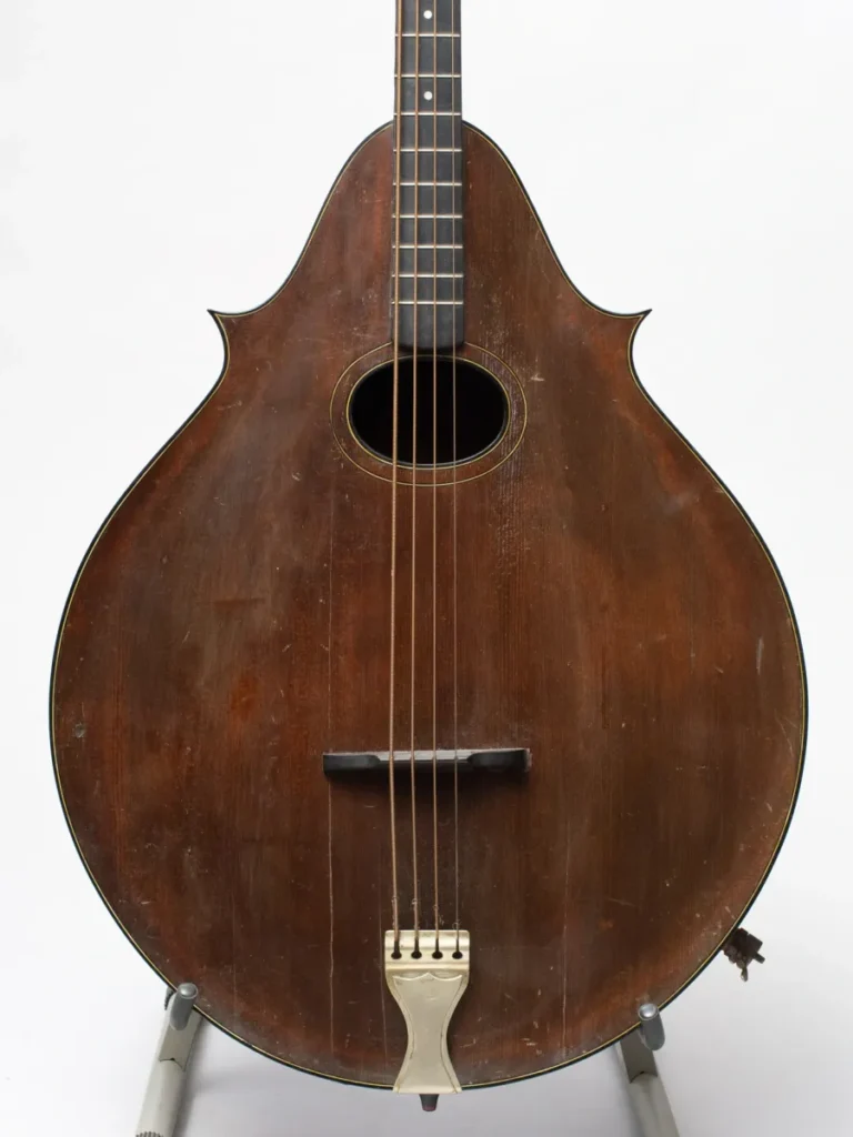 Lyon & Healy Mandobass Front